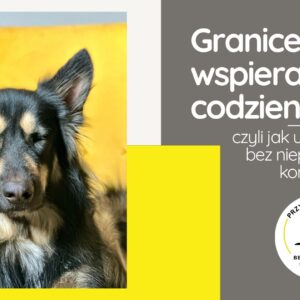 Webinar - granice wspierające codzienność